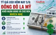 Tỷ giá USD hôm nay 5/6: Đồng đô la Mỹ khởi ngân hàng và chợ đen nhích nhẹ
