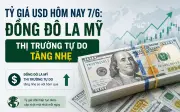 Tỷ giá USD hôm nay 7/6: Đô la Mỹ thị trường tự do tăng nhẹ, giá bán 26.401 đồng