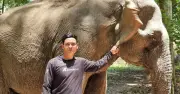 Từ ký ức xiềng xích đến bầu trời tự do: Hành trình giải cứu voi nhà Yók Đôn