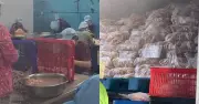 Đột kích công ty chân gà rút xương, phát hiện hơn 7 tấn hàng quá hạn