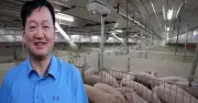 Từ trang trại 22 con lợn, người đàn ông Trung Quốc trở thành tỷ phú với khối tài sản 776.000 tỷ đồng