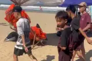 Thợ chụp ảnh dạo quyên góp giúp thiếu niên mất tiền khi tắm biển