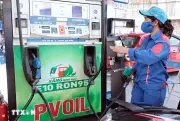 Thí điểm chính sách triển khai lộ trình sử dụng xăng E10