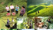 Thủ tướng bổ nhiệm 3 nhân sự mới vào Hội đồng quản trị Ngân hàng Chính sách xã hội