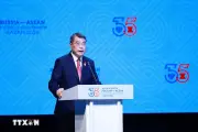 Thủ tướng Lê Minh Hưng phát biểu tại Diễn đàn Kinh doanh ASEAN-Nga