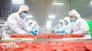 Thị trường Halal mở ra địa tăng trưởng mới cho doanh nghiệp Việt