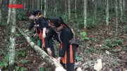 Thay đổi tư duy sản xuất nhằm mới gọi các nhà đầu tư