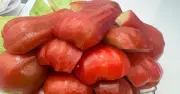 Thực phẩm bảo vệ gan thận mùa nóng: Lời khuyên từ chuyên gia