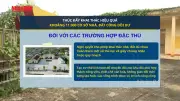 Thúc đẩy khai thác hiệu quả khoảng 11.000 cơ sở nhà đất công dôi dư