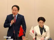 Thúc đẩy quan hệ Đối tác Chiến lược Toàn diện Việt - Nhật ngày càng thực chất