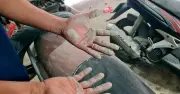 Thi công đường 90 tỷ đồng ở Thanh Hóa: Dân đóng cửa cả ngày vẫn không thoát bụi