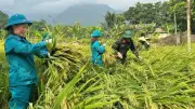 Thái Nguyên: Huấn luyện dân quân tự vệ sát thực tiễn, nâng cao sẵn sàng chiến đấu