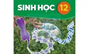 Đề thi tốt nghiệp THPT môn Sinh học từ 2025: 24 câu trong 50 phút