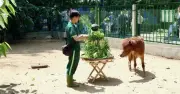 Thảo Cầm Viên Sài Gòn cảnh báo lừa đảo tuyển khách giả tham quan