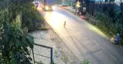 Thót tim cảnh bé 18 tháng ở Phú Thọ chạy ra đường lớn giữa dòng xe lao vun vút