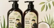 Thu hồi, tiêu hủy 2 loại dầu gội, dầu xả thảo dược