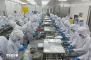 Thủy sản Việt Nam đối mặt bài toán giữ thị phần tại thị trường Hoa Kỳ