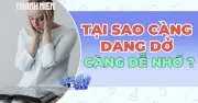 Tại sao những điều dang dở luôn ám ảnh bạn?