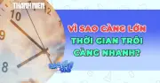 Tại sao thời gian trôi nhanh hơn khi già? Giải mã từ khoa học thần kinh