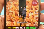 Tin giả tôm khô cao su non: Cà Mau xử lý nghiêm đối tượng