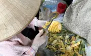 Tiểu thương lý giải nguyên nhân loại dừa có giá đắt gấp đôi dừa thường nhưng vẫn chiếm được cảm tình của người tiêu dùng