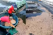 Tôm chết hàng loạt, phát hiện 8 túi đất đèn dưới đáy hồ ở Quảng Trị