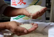 Tăng cường quan hệ hữu nghị truyền thống Việt Nam và Timor-Leste