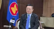 Tổng Thư ký ASEAN đề cao vai trò kiến tạo của Việt Nam