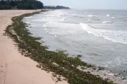 TP Hồ Chí Minh: Lần đầu tiên bãi biển Hồ Tràm xử lý ngập lụt, rác thải