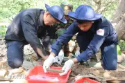 Tập trung cao nhất tìm kiếm, xác định danh tính hài cốt liệt sĩ