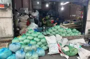 TPHCM: 3 cơ sở dùng hóa chất cấm sản xuất 1.000 tấn giá đỗ
