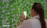 TP.HCM chiến lược xoay trục bảo tàng, kiến tạo hệ sinh thái di sản số