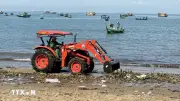 TP.HCM: Hàng chục tấn lục bình cùng rác thải tràn vào bãi tắm biển
