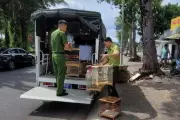 TPHCM tịch thu 35 con chim chào mào không rõ nguồn gốc