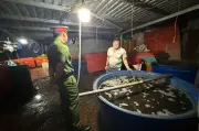 TPHCM yêu cầu xử lý nghiêm bao che vi phạm an toàn thực phẩm