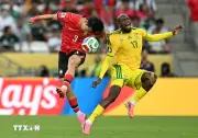 Trực tiếp: Nam Phi 0-0 Hàn Quốc, Phùng Phi có cơ hội
