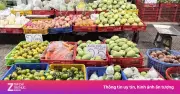 Trái cây vào mùa giá rẻ như rau tại chợ TP.HCM, bơ xoài chỉ 20.000 đồng/kg
