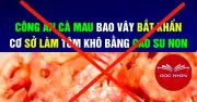 Triệu tập người đàn ông Hà Nội tung tin tôm khô Cà Mau làm bằng cao su non