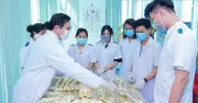 Trường Cao đẳng Đại Việt Sài Gòn thu hút mùa tuyển sinh 2026 với hệ sinh thái đào tạo ứng dụng
