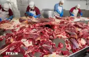 Trung Quốc áp thuế bổ sung với thịt bò Australia vượt hạn ngạch nhập khẩu
