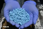 Trung Quốc tăng kiểm soát hóa chất, mở rộng hợp tác chống ma túy với Mỹ