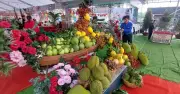 Tuần lễ tôn vinh trái cây và OCOP phường Bảo Vinh hấp dẫn du khách
