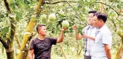 Tuyên Quang đẩy mạnh nông nghiệp công nghệ cao, nâng cao giá trị sản phẩm