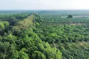 Tây Ninh đẩy nhanh thủ tục khởi công cao tốc Gò Dầu - Xa Mát 28km