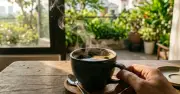 Uống cà phê đúng cách để tối đa lợi ích sức khỏe, kéo dài tuổi thọ