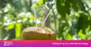 Uống nước dừa thường xuyên: Lợi ích và rủi ro cho thận