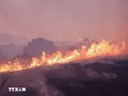 Utah ban bố tình trạng khẩn cấp do cháy rừng lan nhanh