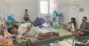 Vụ 124 người nghi ngộ độc bánh mì ở Quy Nhơn: Phát hiện vi khuẩn Salmonella