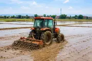 Vì sao Nghệ An hoàn trả hơn 129 tỷ đồng hỗ trợ thiên tai?