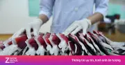 Vì sao ngành y tế luôn cần người dân hiến máu?